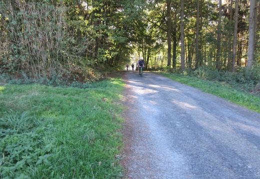 IMG 0490