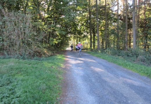 IMG 0491