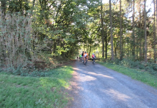 IMG 0492
